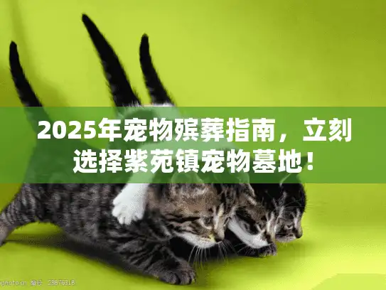 2025年宠物殡葬指南，立刻选择紫苑镇宠物墓地！