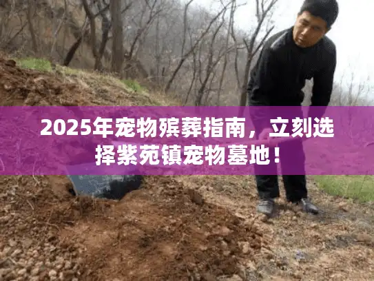 2025年宠物殡葬指南，立刻选择紫苑镇宠物墓地！