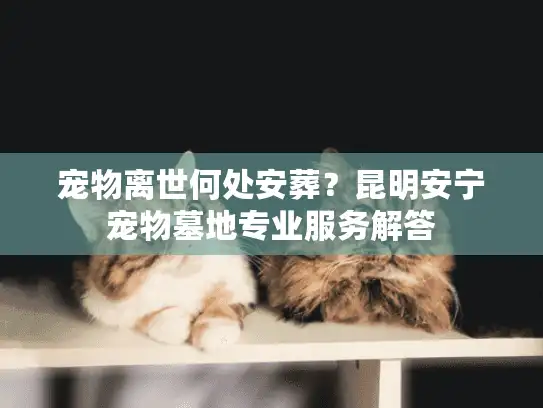 宠物离世何处安葬？昆明安宁宠物墓地专业服务解答