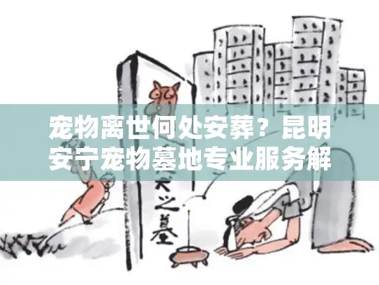 宠物离世何处安葬？昆明安宁宠物墓地专业服务解答