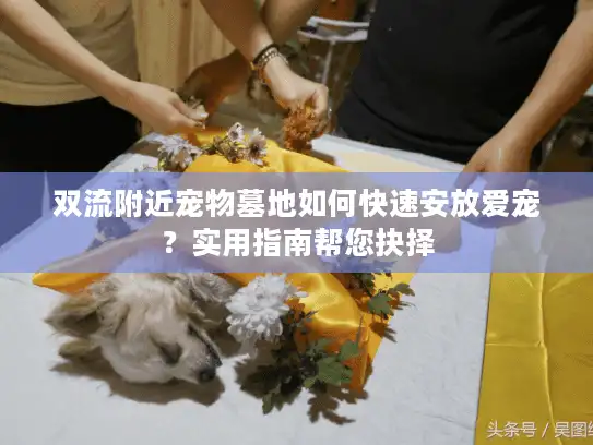 双流附近宠物墓地如何快速安放爱宠？实用指南帮您抉择
