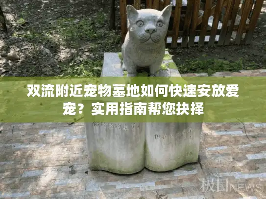 双流附近宠物墓地如何快速安放爱宠？实用指南帮您抉择