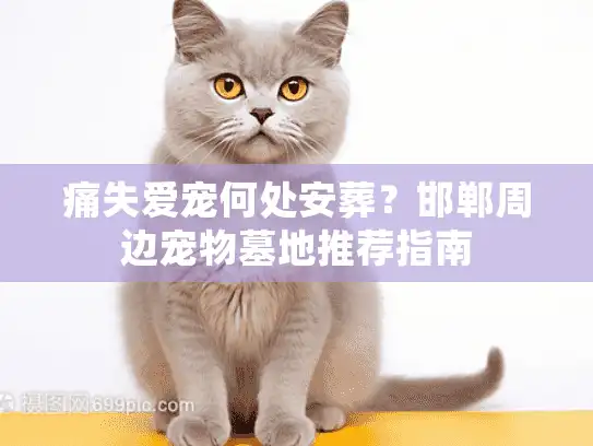 痛失爱宠何处安葬？邯郸周边宠物墓地推荐指南