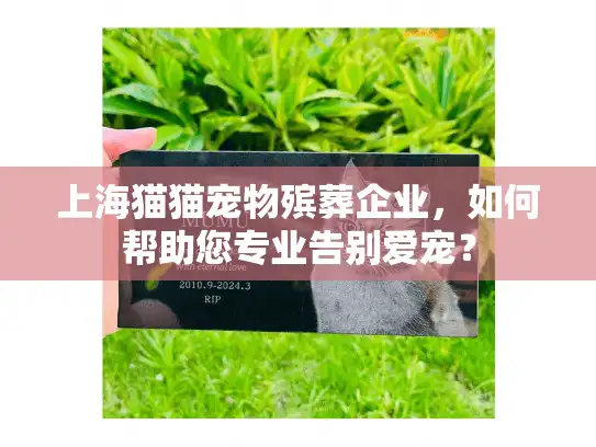 上海猫猫宠物殡葬企业，如何帮助您专业告别爱宠？