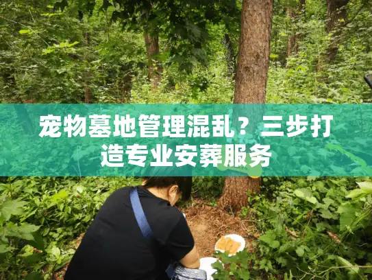 宠物墓地管理混乱？三步打造专业安葬服务