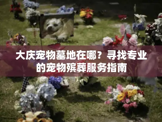 大庆宠物墓地在哪？寻找专业的宠物殡葬服务指南