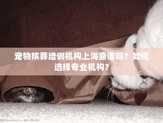 宠物殡葬培训机构上海靠谱吗？如何选择专业机构？