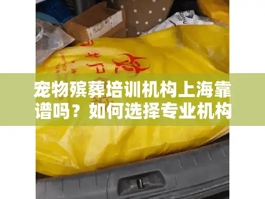 宠物殡葬培训机构上海靠谱吗？如何选择专业机构？