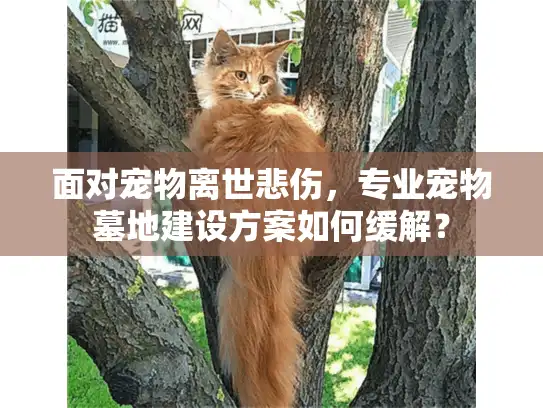 面对宠物离世悲伤，专业宠物墓地建设方案如何缓解？