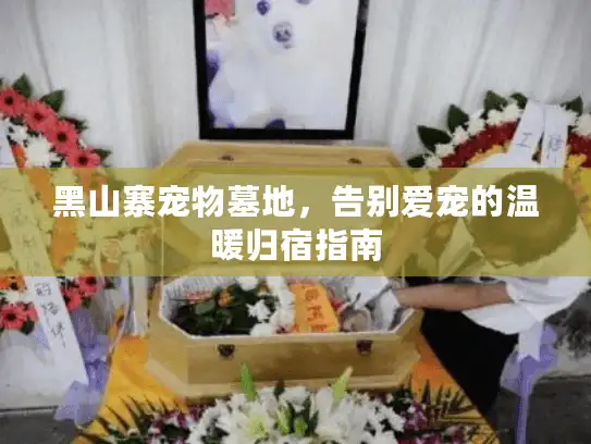 黑山寨宠物墓地，告别爱宠的温暖归宿指南