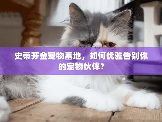 史蒂芬金宠物墓地，如何优雅告别你的宠物伙伴？