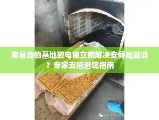 南昌宠物墓地致电能立即解决安葬难题吗？专家支招避坑指南