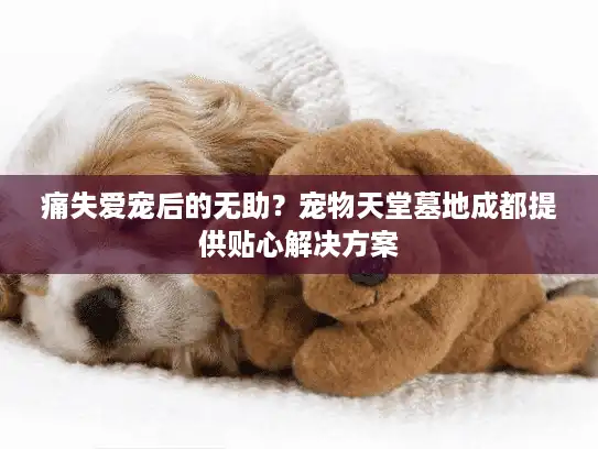 痛失爱宠后的无助？宠物天堂墓地成都提供贴心解决方案