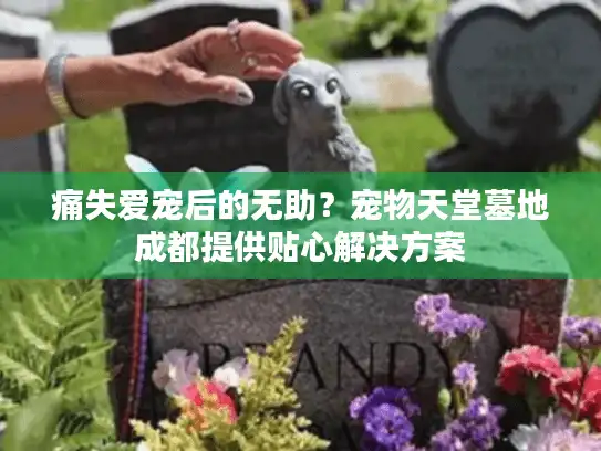 痛失爱宠后的无助？宠物天堂墓地成都提供贴心解决方案