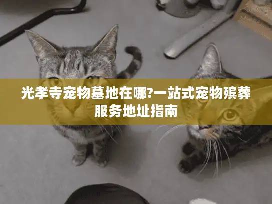 光孝寺宠物墓地在哪?一站式宠物殡葬服务地址指南