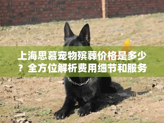 上海思慕宠物殡葬价格是多少？全方位解析费用细节和服务选择
