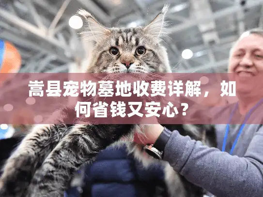 嵩县宠物墓地收费详解，如何省钱又安心？