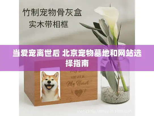 当爱宠离世后 北京宠物墓地和网站选择指南