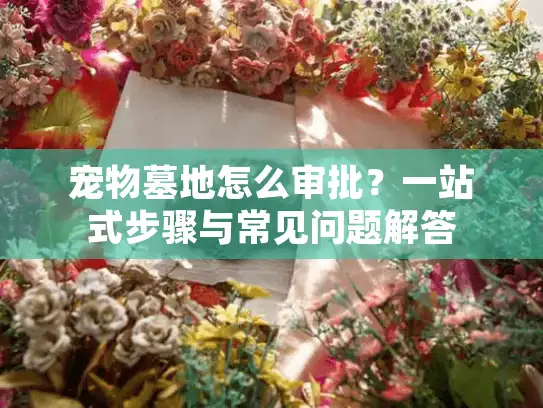 宠物墓地怎么审批？一站式步骤与常见问题解答