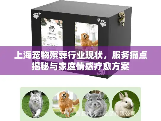 上海宠物殡葬行业现状，服务痛点揭秘与家庭情感疗愈方案