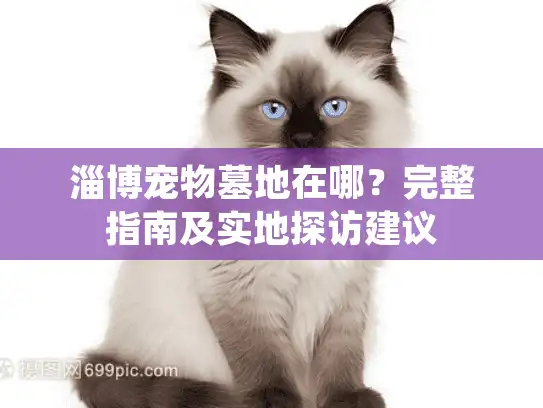 淄博宠物墓地在哪？完整指南及实地探访建议