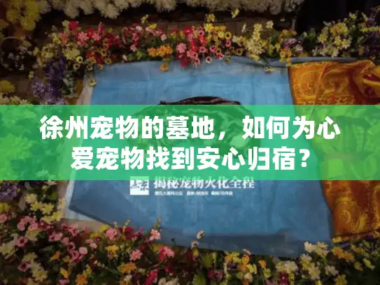 徐州宠物的墓地，如何为心爱宠物找到安心归宿？