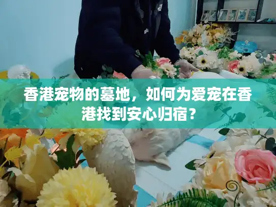 香港宠物的墓地，如何为爱宠在香港找到安心归宿？