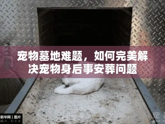 宠物墓地难题，如何完美解决宠物身后事安葬问题