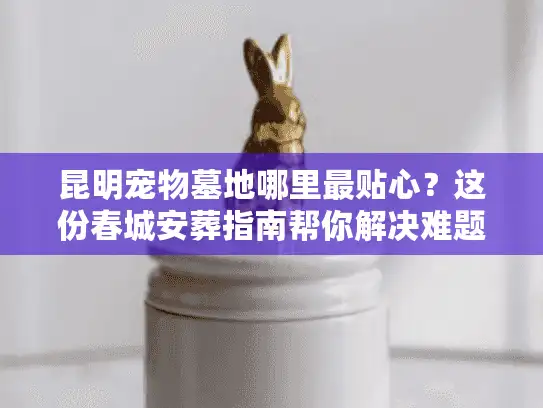 昆明宠物墓地哪里最贴心？这份春城安葬指南帮你解决难题