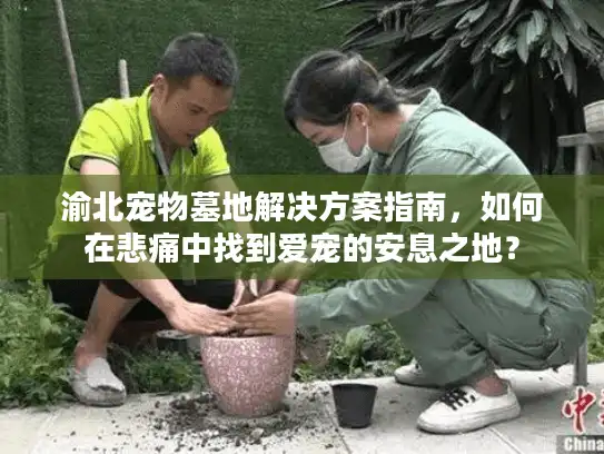 渝北宠物墓地解决方案指南，如何在悲痛中找到爱宠的安息之地？