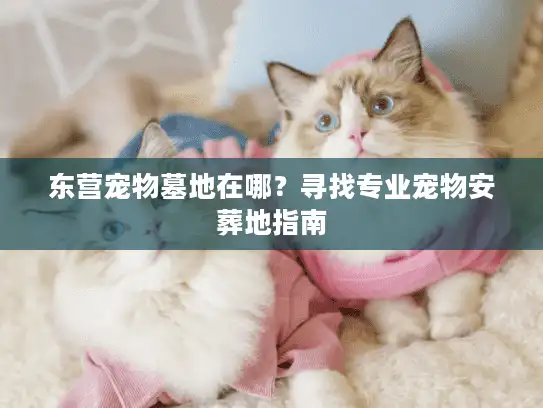 东营宠物墓地在哪？寻找专业宠物安葬地指南