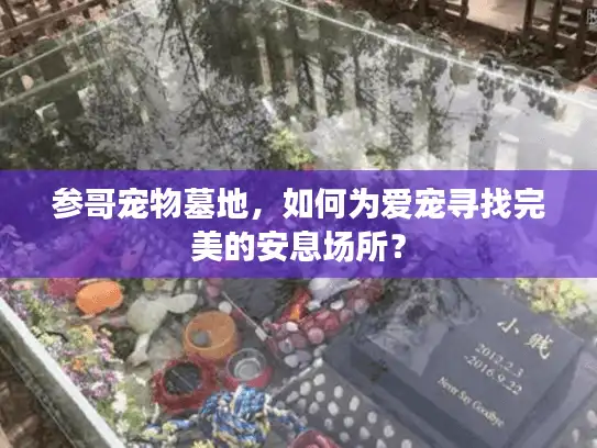 参哥宠物墓地，如何为爱宠寻找完美的安息场所？