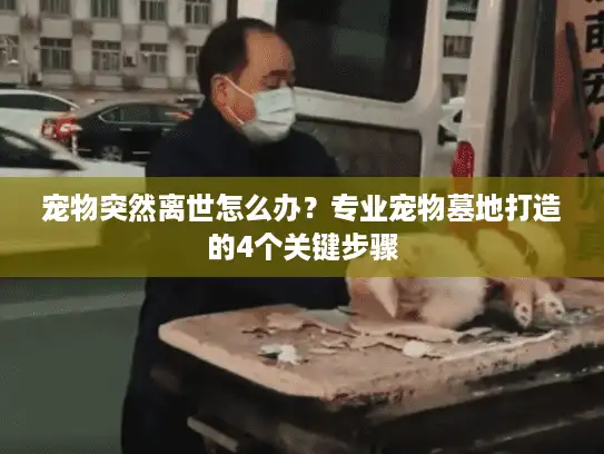 宠物突然离世怎么办？专业宠物墓地打造的4个关键步骤