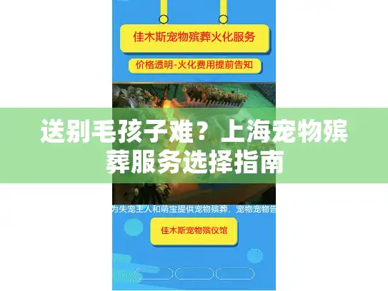 送别毛孩子难？上海宠物殡葬服务选择指南
