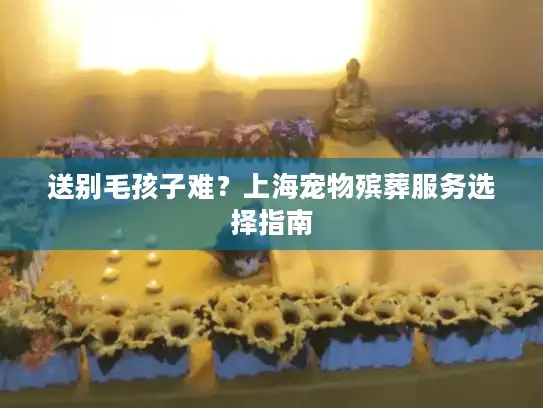 送别毛孩子难？上海宠物殡葬服务选择指南