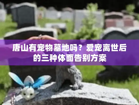 唐山有宠物墓地吗？爱宠离世后的三种体面告别方案