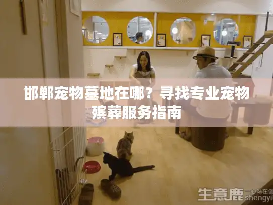 邯郸宠物墓地在哪？寻找专业宠物殡葬服务指南