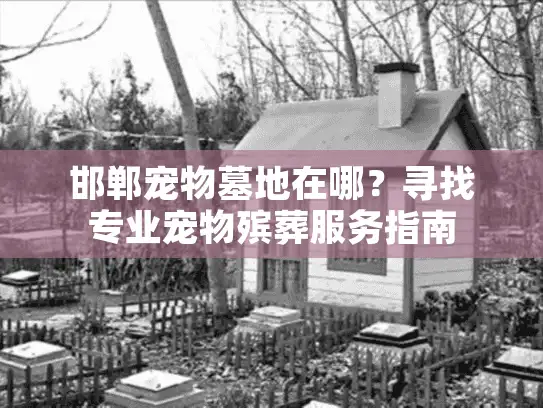 邯郸宠物墓地在哪？寻找专业宠物殡葬服务指南