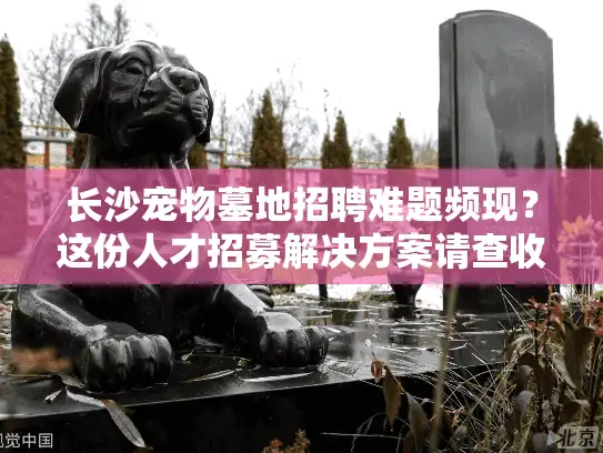 长沙宠物墓地招聘难题频现？这份人才招募解决方案请查收