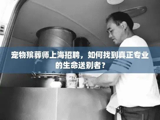 宠物殡葬师上海招聘，如何找到真正专业的生命送别者？