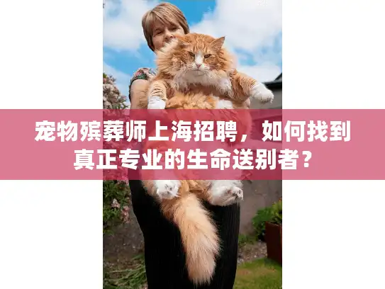 宠物殡葬师上海招聘，如何找到真正专业的生命送别者？