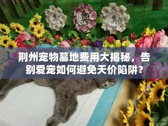 荆州宠物墓地费用大揭秘，告别爱宠如何避免天价陷阱？
