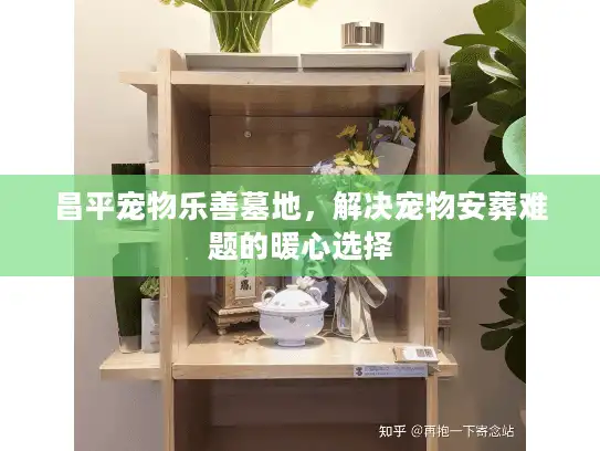 昌平宠物乐善墓地，解决宠物安葬难题的暖心选择