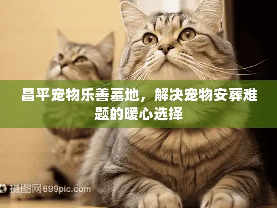 昌平宠物乐善墓地，解决宠物安葬难题的暖心选择
