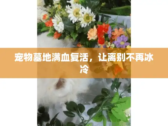宠物墓地满血复活，让离别不再冰冷