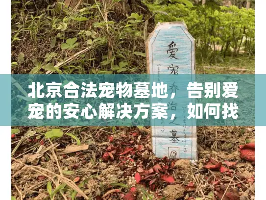 北京合法宠物墓地，告别爱宠的安心解决方案，如何找到专业服务？