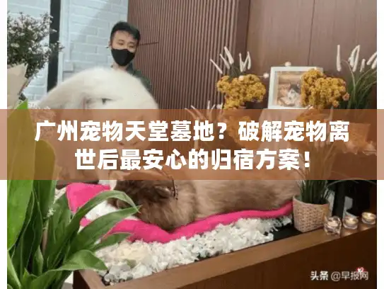 广州宠物天堂墓地？破解宠物离世后最安心的归宿方案！