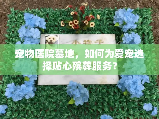 宠物医院墓地，如何为爱宠选择贴心殡葬服务？