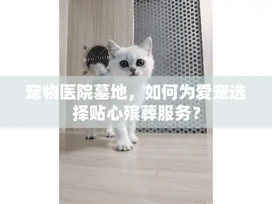 宠物医院墓地，如何为爱宠选择贴心殡葬服务？