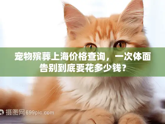 宠物殡葬上海价格查询，一次体面告别到底要花多少钱？